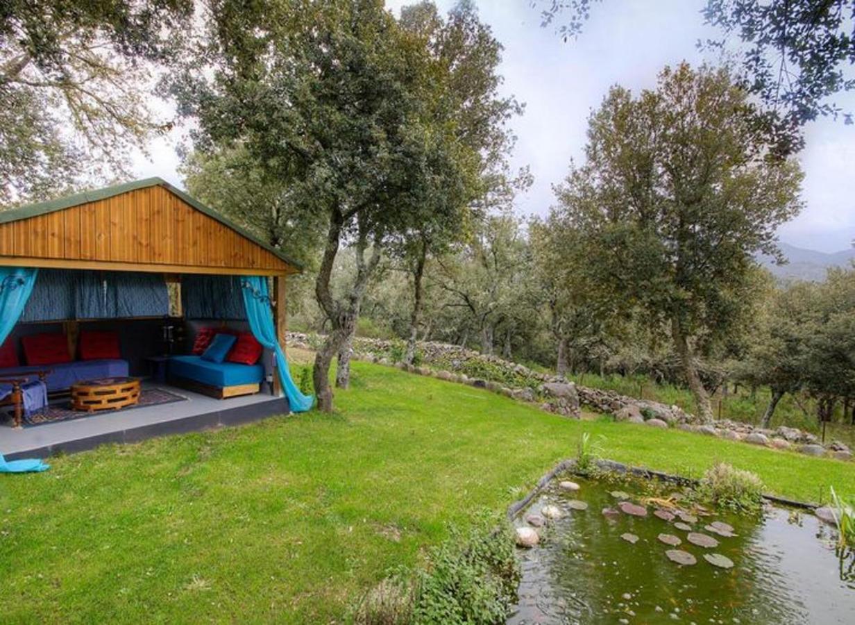 Studio Confortable Avec Vue Sur La Montagne A Moltifao 30M² Jardin المظهر الخارجي الصورة