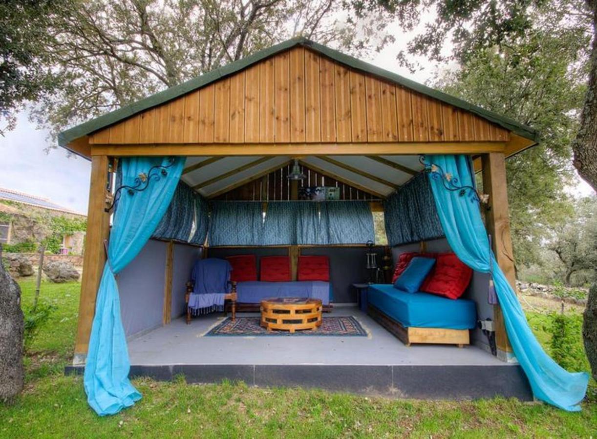 Studio Confortable Avec Vue Sur La Montagne A Moltifao 30M² Jardin المظهر الخارجي الصورة