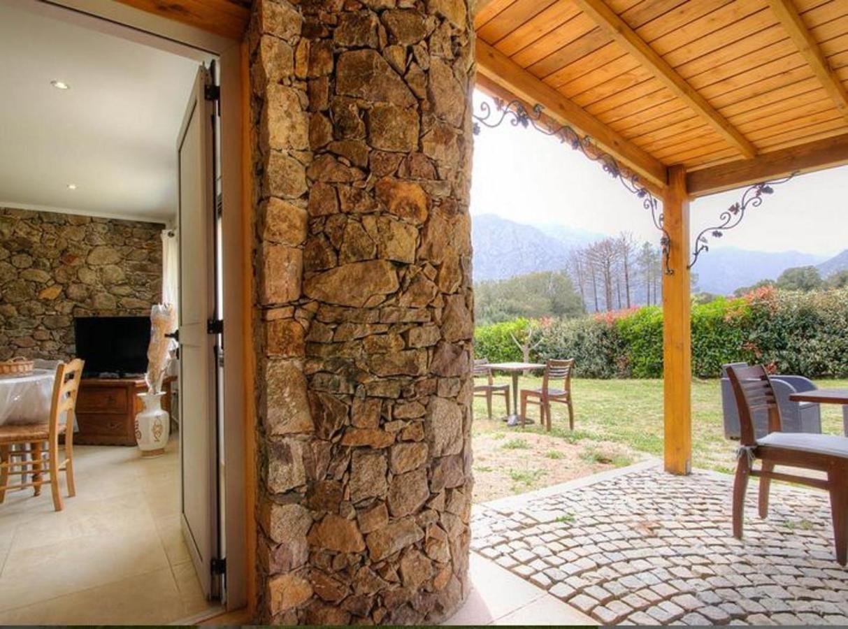 Studio Confortable Avec Vue Sur La Montagne A Moltifao 30M² Jardin المظهر الخارجي الصورة