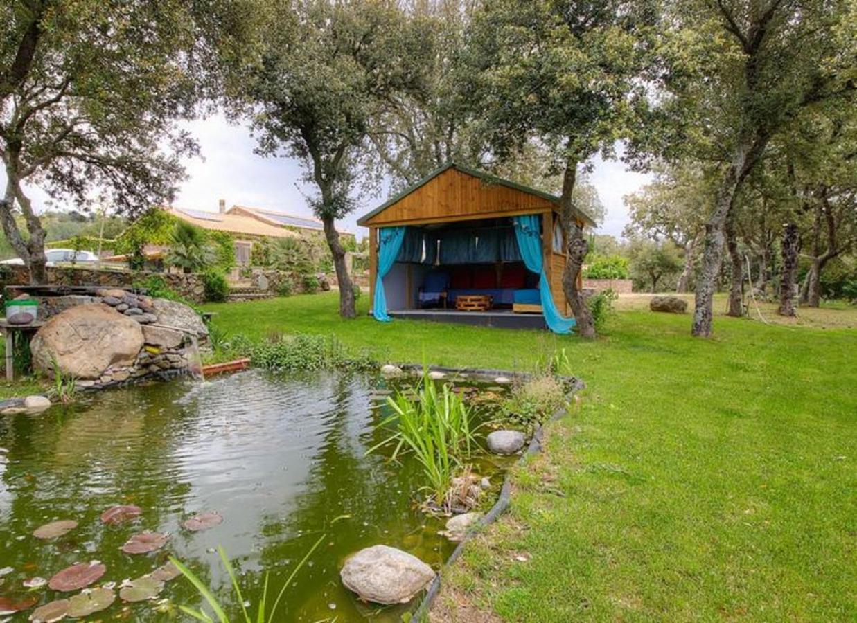 Studio Confortable Avec Vue Sur La Montagne A Moltifao 30M² Jardin المظهر الخارجي الصورة