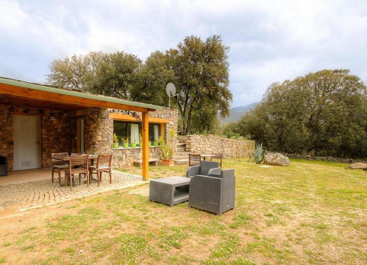 Studio Confortable Avec Vue Sur La Montagne A Moltifao 30M² Jardin المظهر الخارجي الصورة